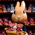 Ms bunny